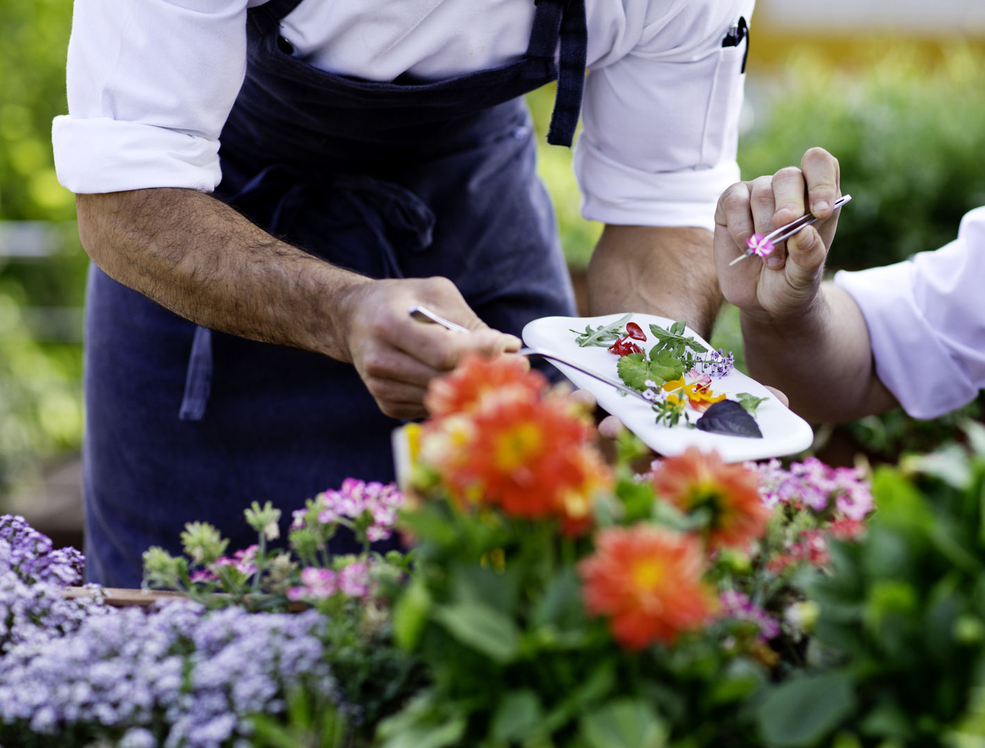 The Cookbook Gastro Boutique Hotel & Spa Calp Exterior foto